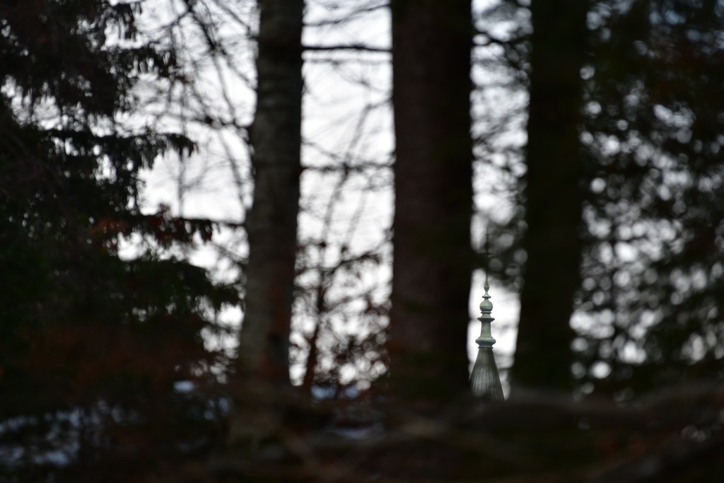 2018-12-29 Hohenschwangau/DSC_8629.JPG